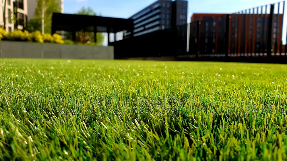 Lawn mower on healthy green grass