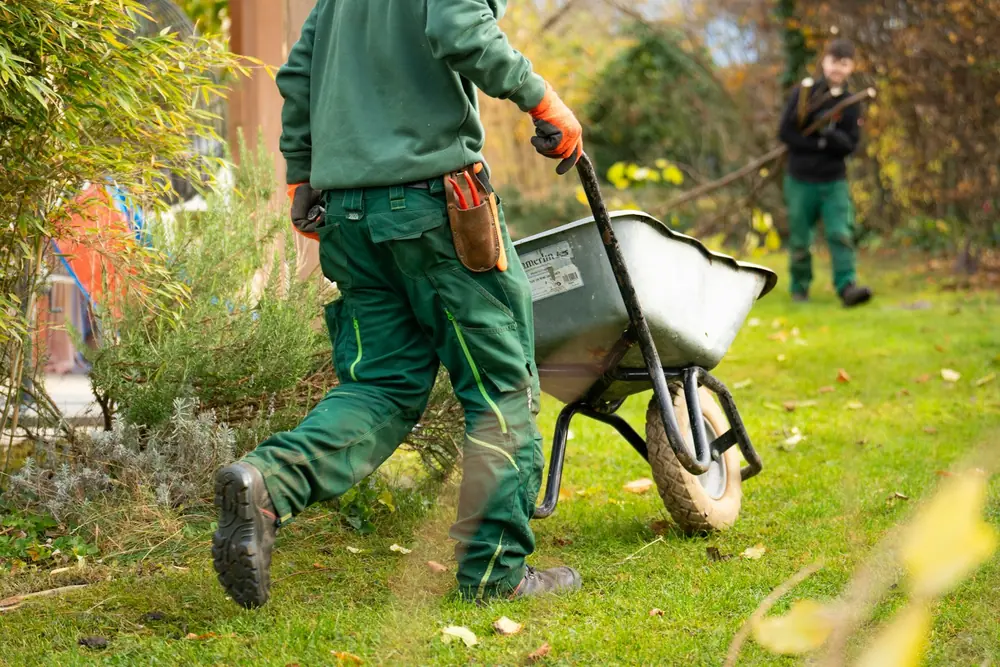 Landscape design with mixed plantings