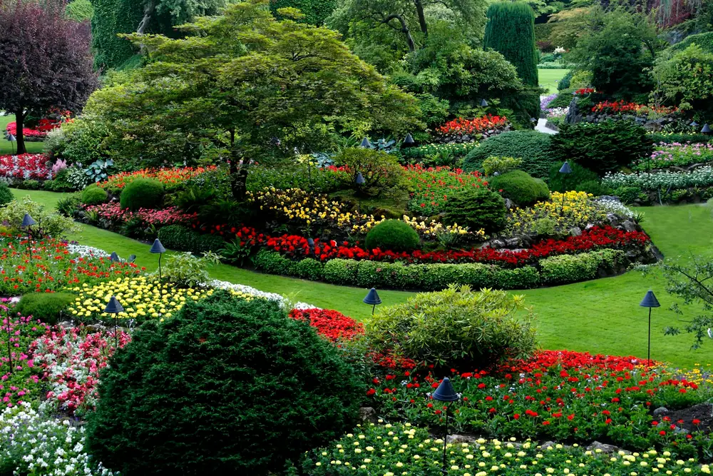 Garden bed with edged plants