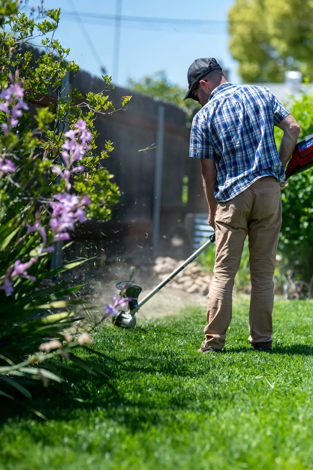 Crisp lawn after a maintenance visit