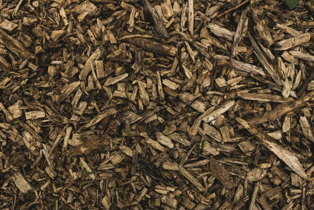 Freshly installed mulch in a flower bed