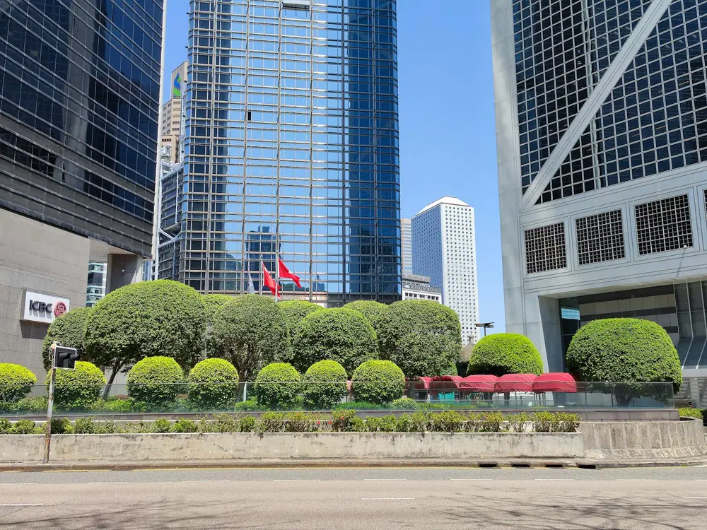 Shaped hedge along a walkway