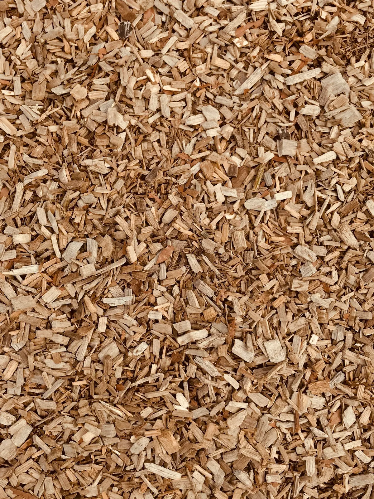Mulching & Bed Maintenance in Pasco County, FL